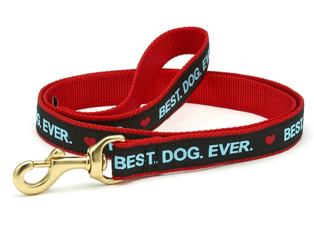 Best webbing clearance for dog collars